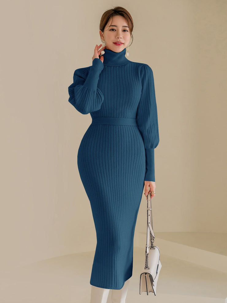 SHEIN Modely Turtle Neck Gigot Sleeve Belted Sweater Dress