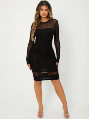 SHEIN SXY Mesh Panel Bodycon Dress,Business Casual Woman